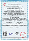 CCAP Certificate